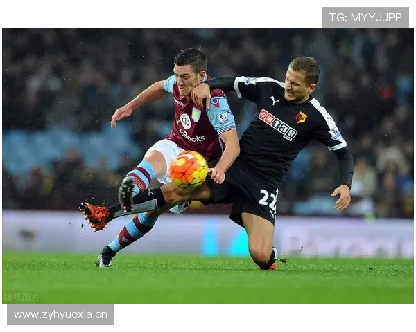 维尔茨 vs 厄德高:组织型核心效率对比 维尔茨 vs 厄德高:组织型核心效率对比